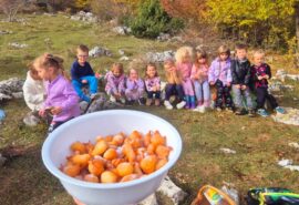 Jesen iz žablje perspektive